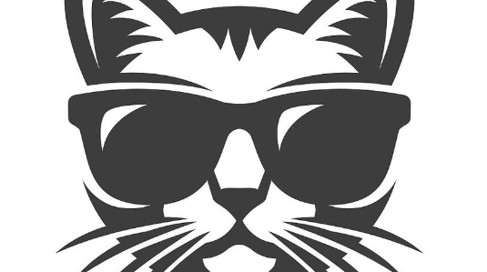 猿猴分类（中国）