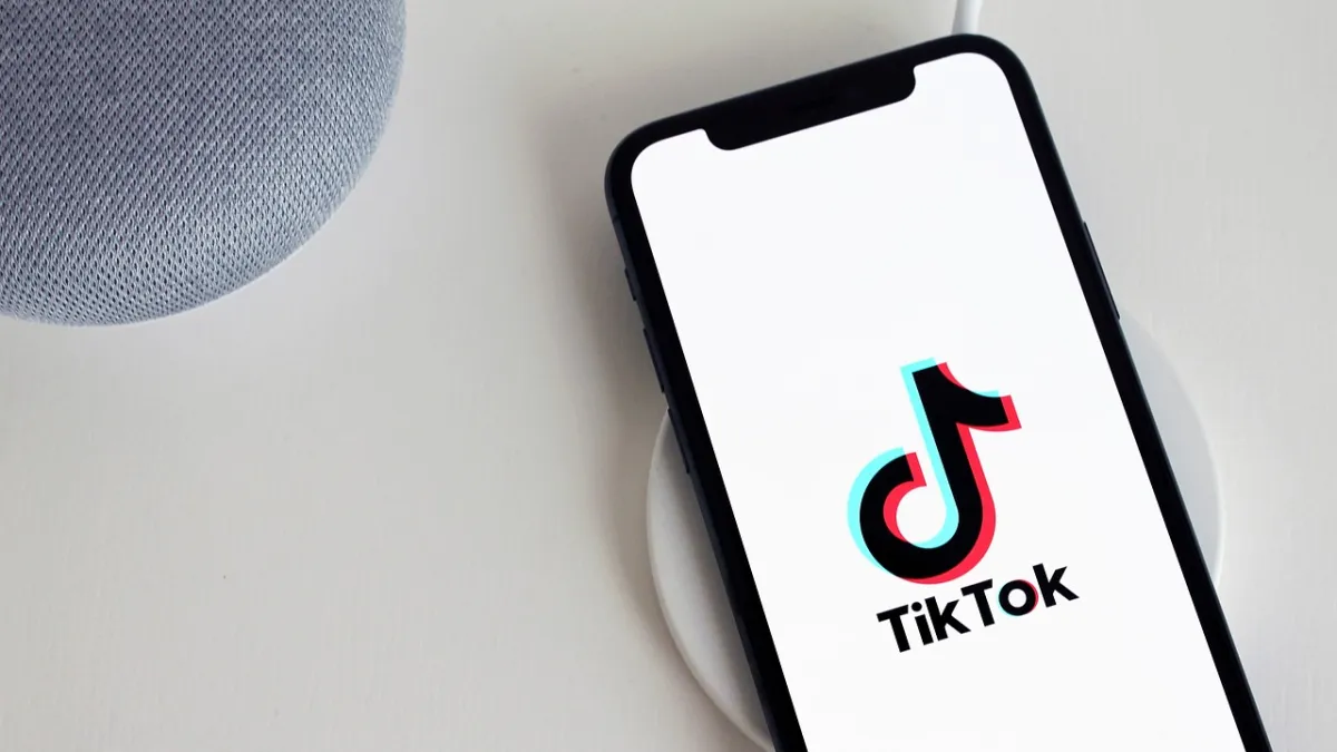 TikTok允许用户在DM中发送语音和图像