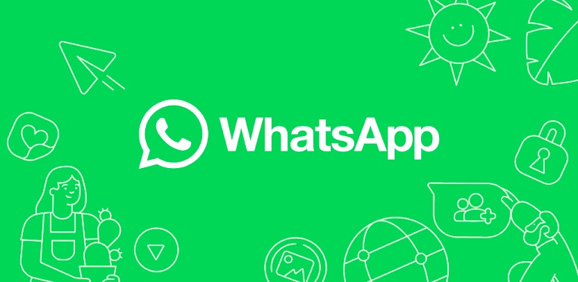 WhatsApp测试用户名作为主要连接显示