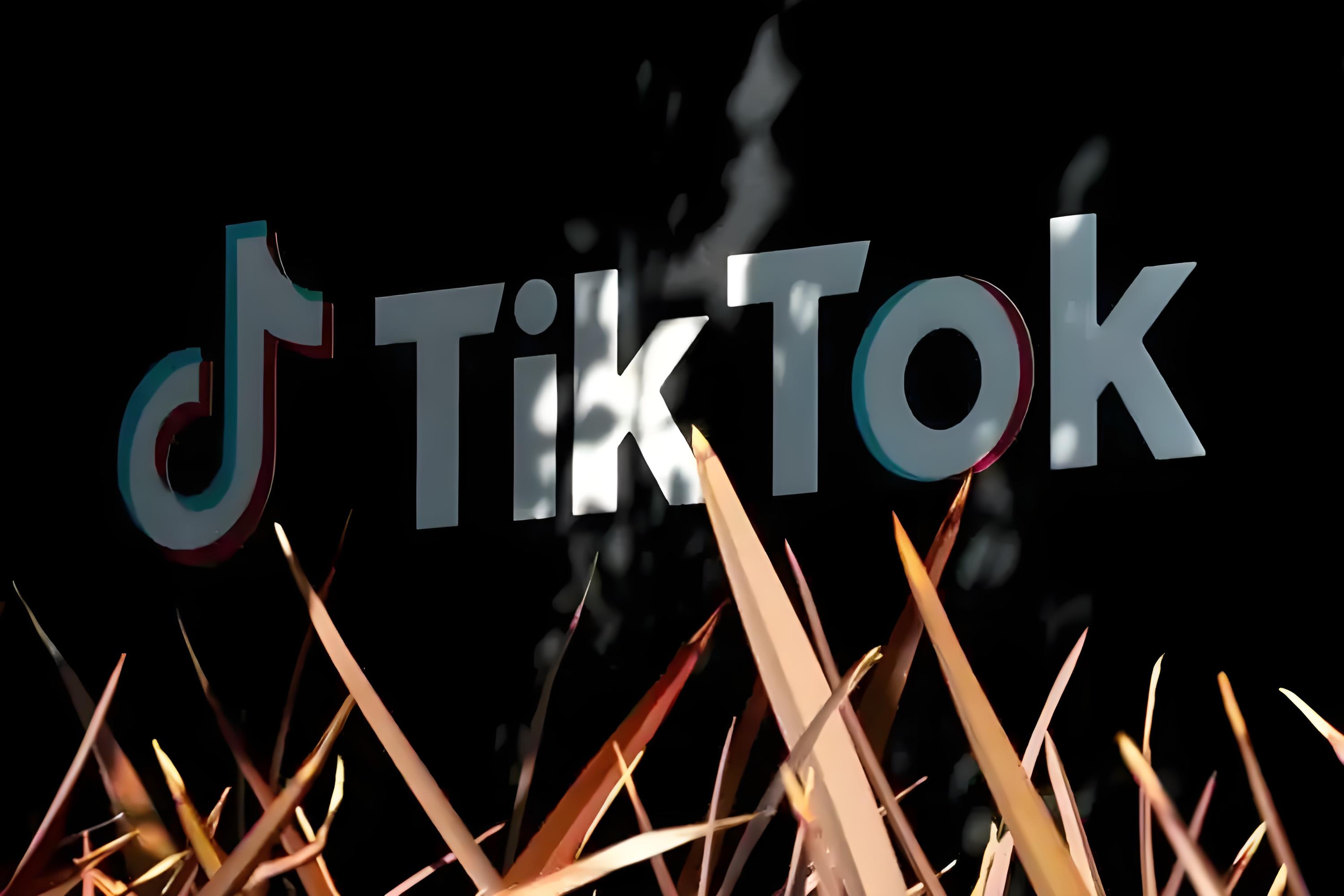 2025年TikTok小店新趋势，跨境卖家如何把握机遇