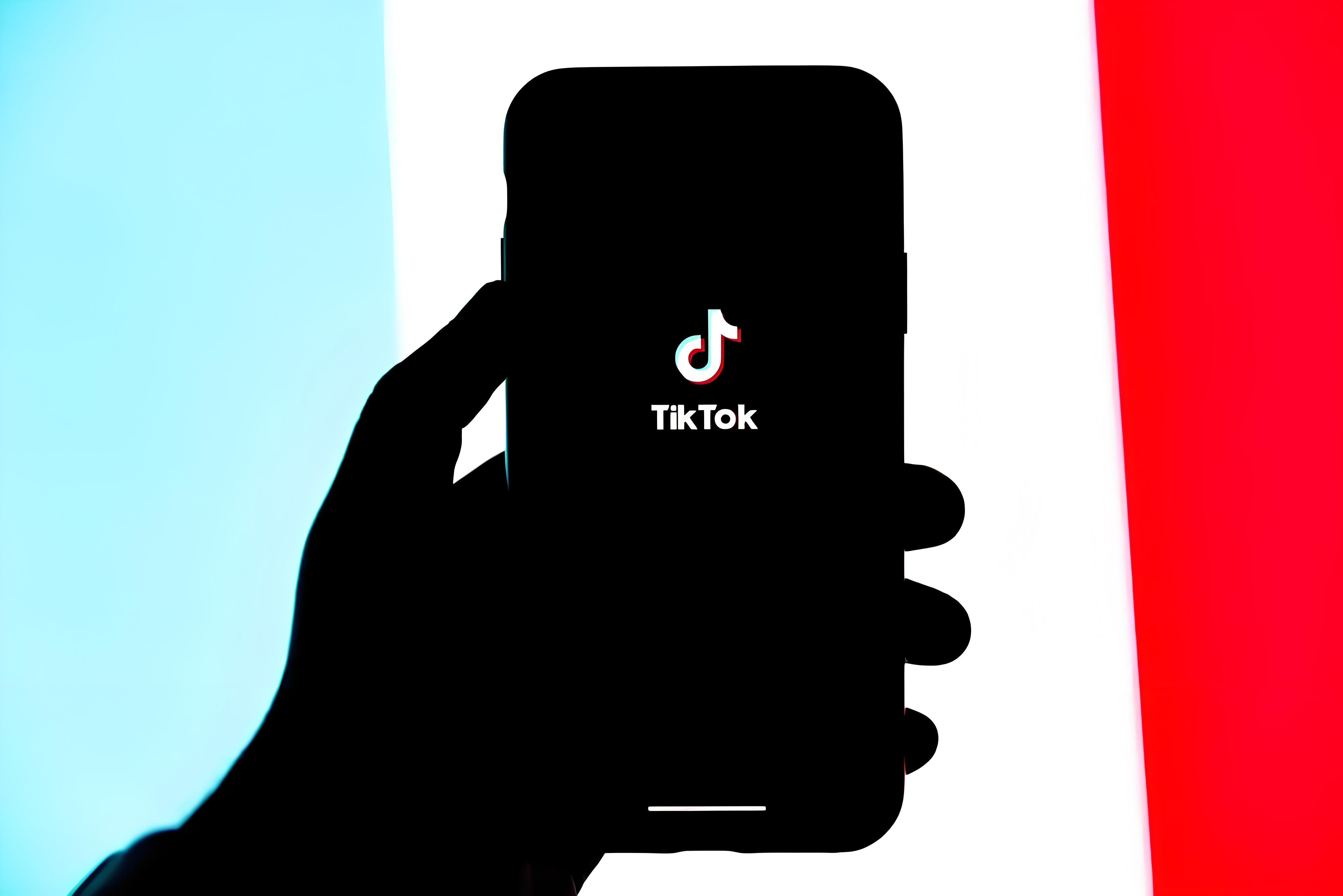 TikTok广告投放与市场趋势预测:跨境电商如何把握市场脉搏