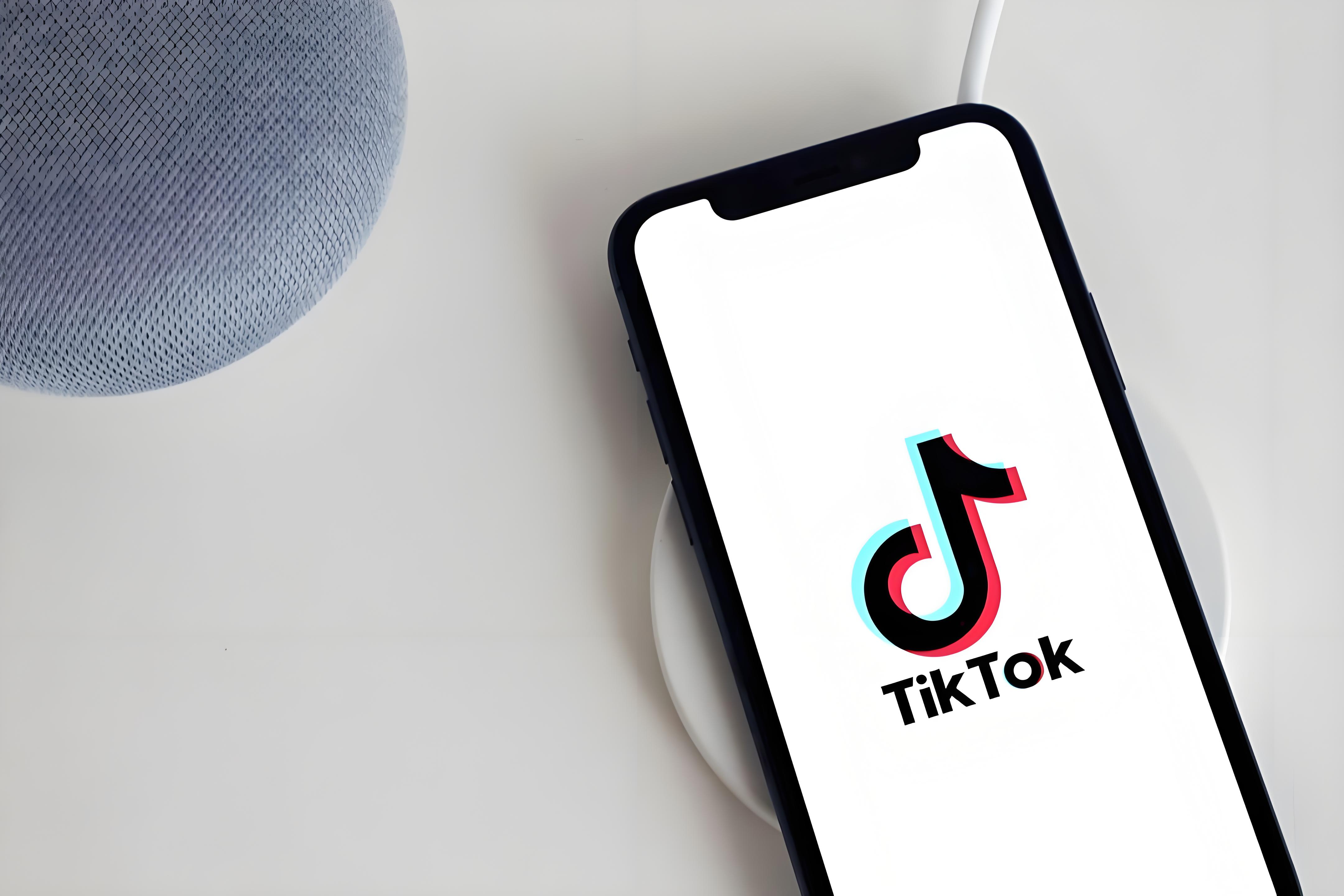 TikTok Shop 宠物用品限售规则深度解读