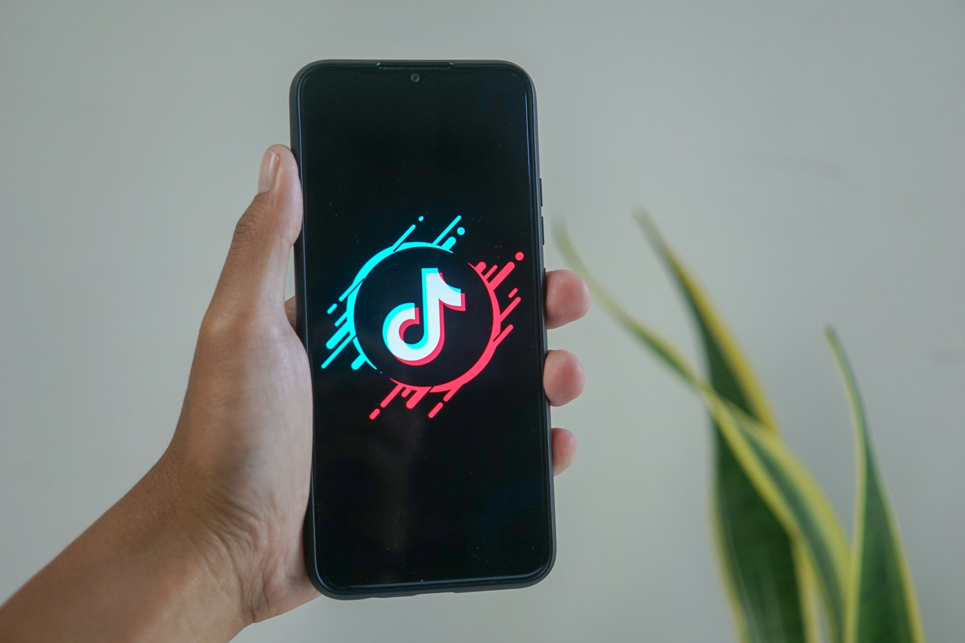 TikTok付费投流的内容，如何复用于免费营销？