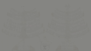 Hexagon, Octagon and Equilateral Cross in the eight-pointed star Hexagon, Octagon and Equilateral Cross in the eight-pointed star