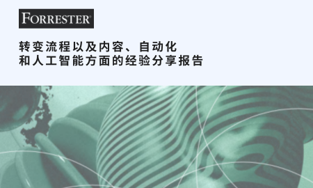 转变流程以及内容、自动化和人工智能方面的经验分享报告