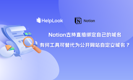 Notion支持直接绑定自己的域名，有何工具可替代为公开网站自定义域名？