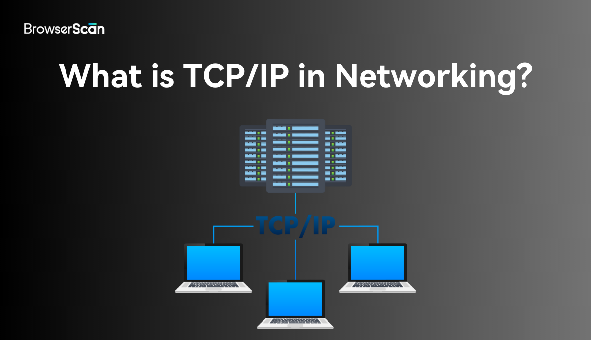 What is TCP/IP? How Does it Work?