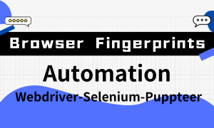 Browser Fingerprints 101: Bot Detection