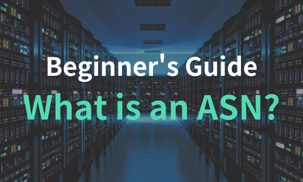 What is an Autonomous System Number (ASN)?