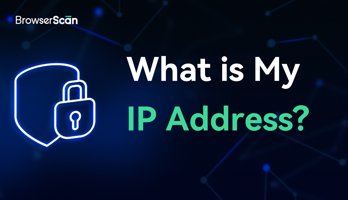 What is my IP address?
