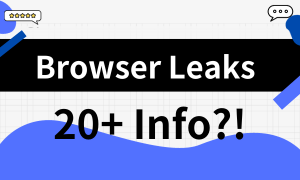 How Browsers Leak Your Information