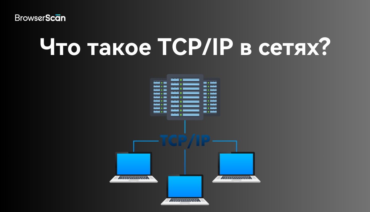 Что такое TCP/IP?