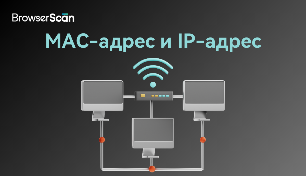 MAC-адрес и IP-адрес