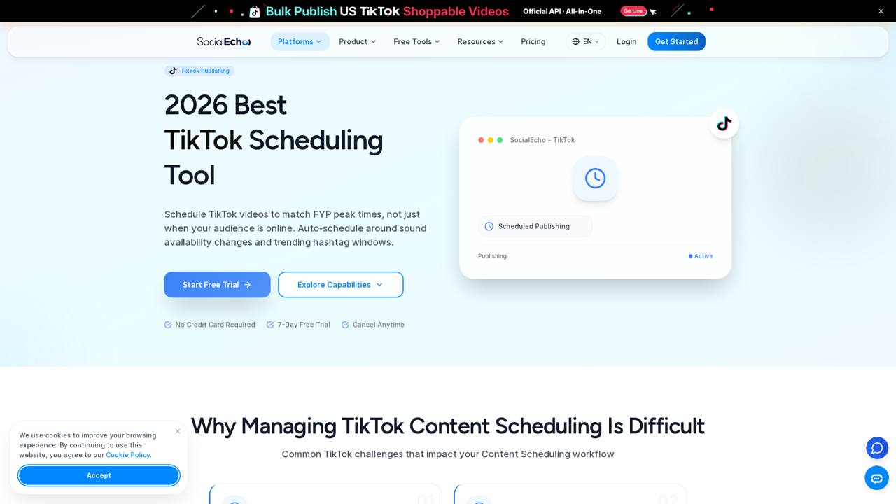 SocialEcho 的 TikTok 定时发布功能页