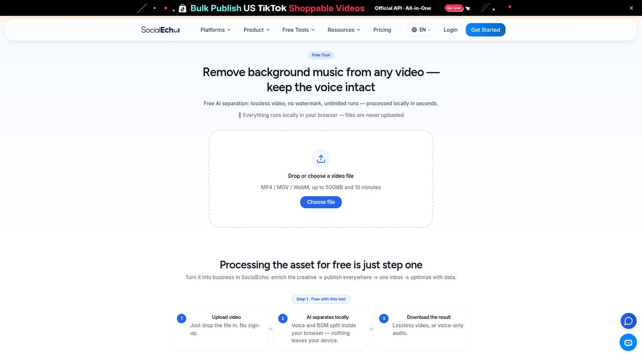 SocialEcho video background music removal tool page