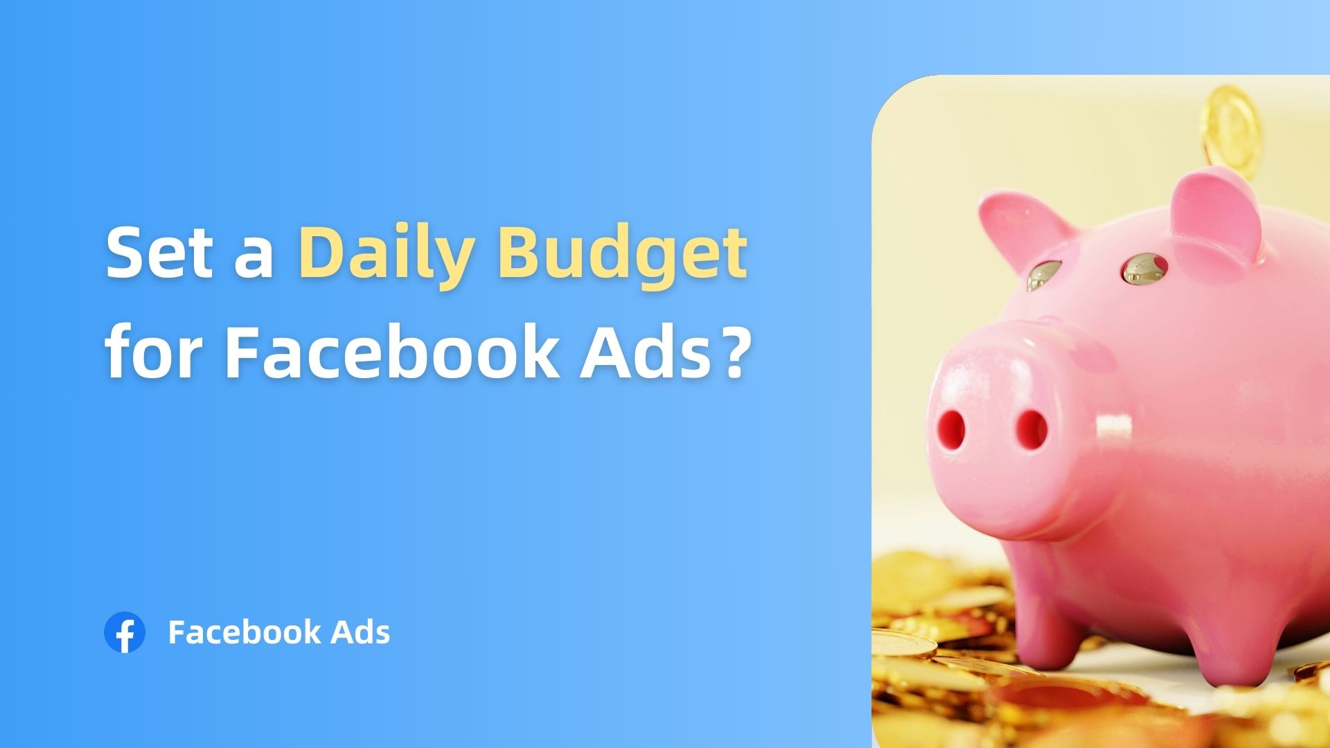 Set a Daily Budget for fb ads