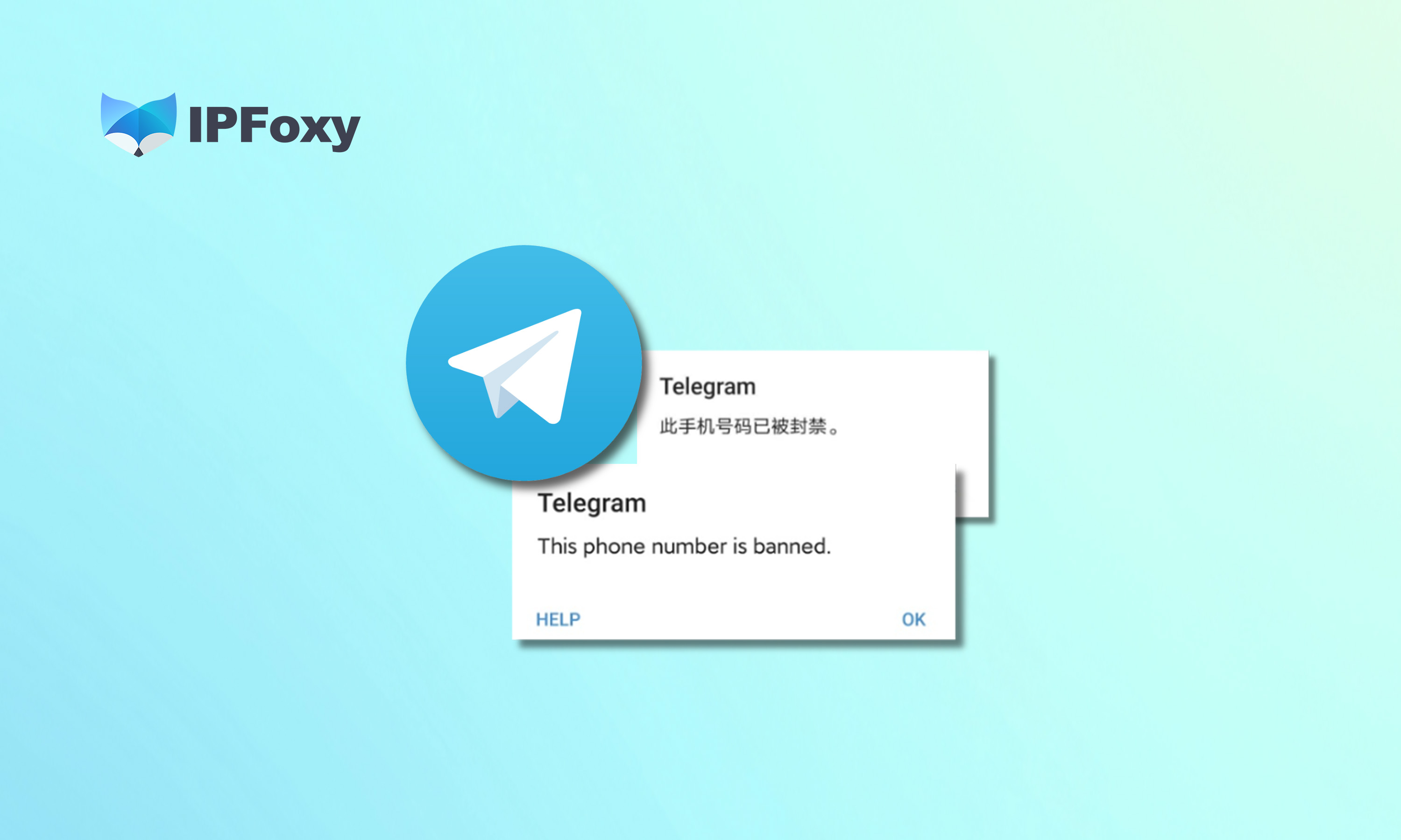 Telegram养号怎么做？2024最新攻略！