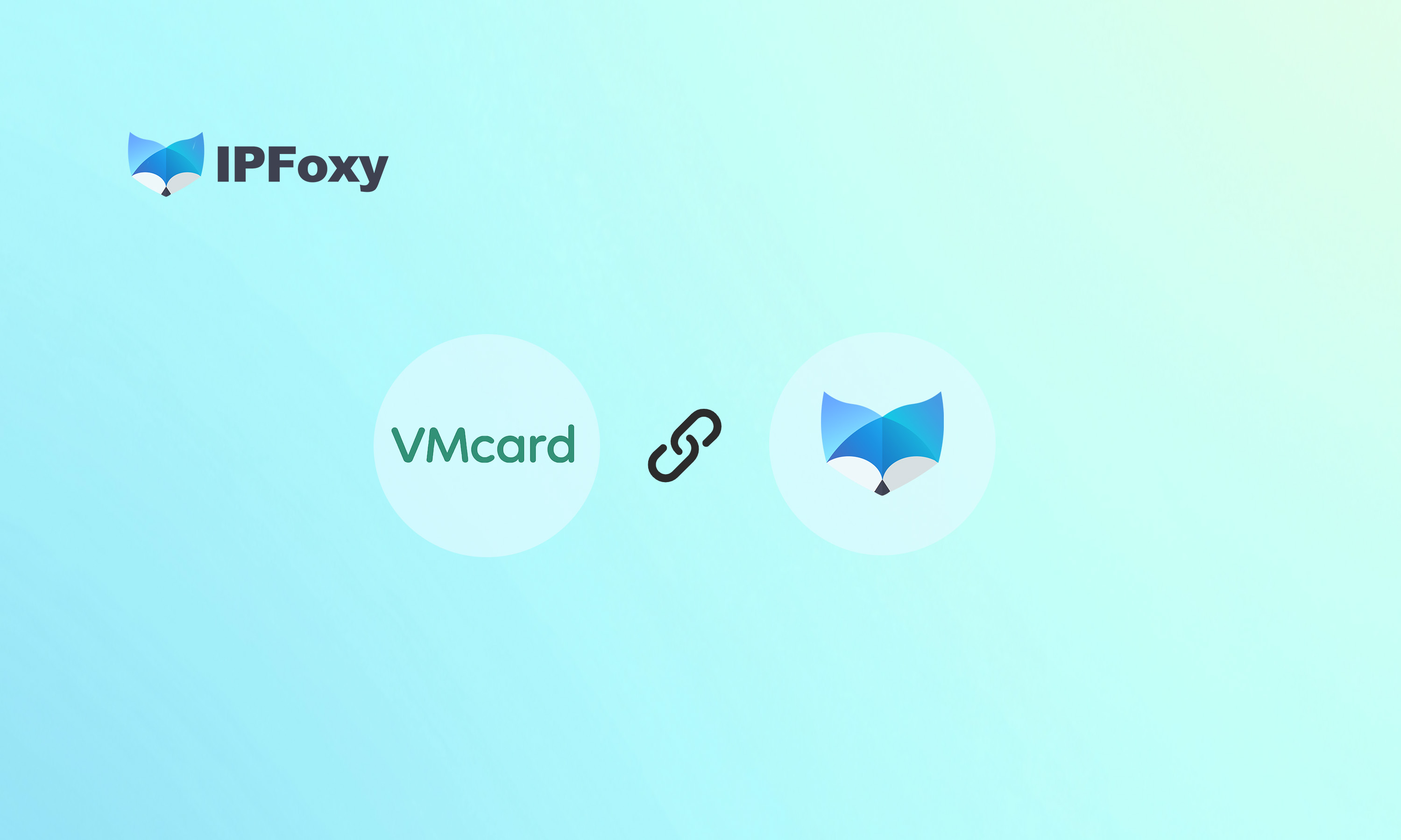 vm虚拟卡×IPFoxy代理IP