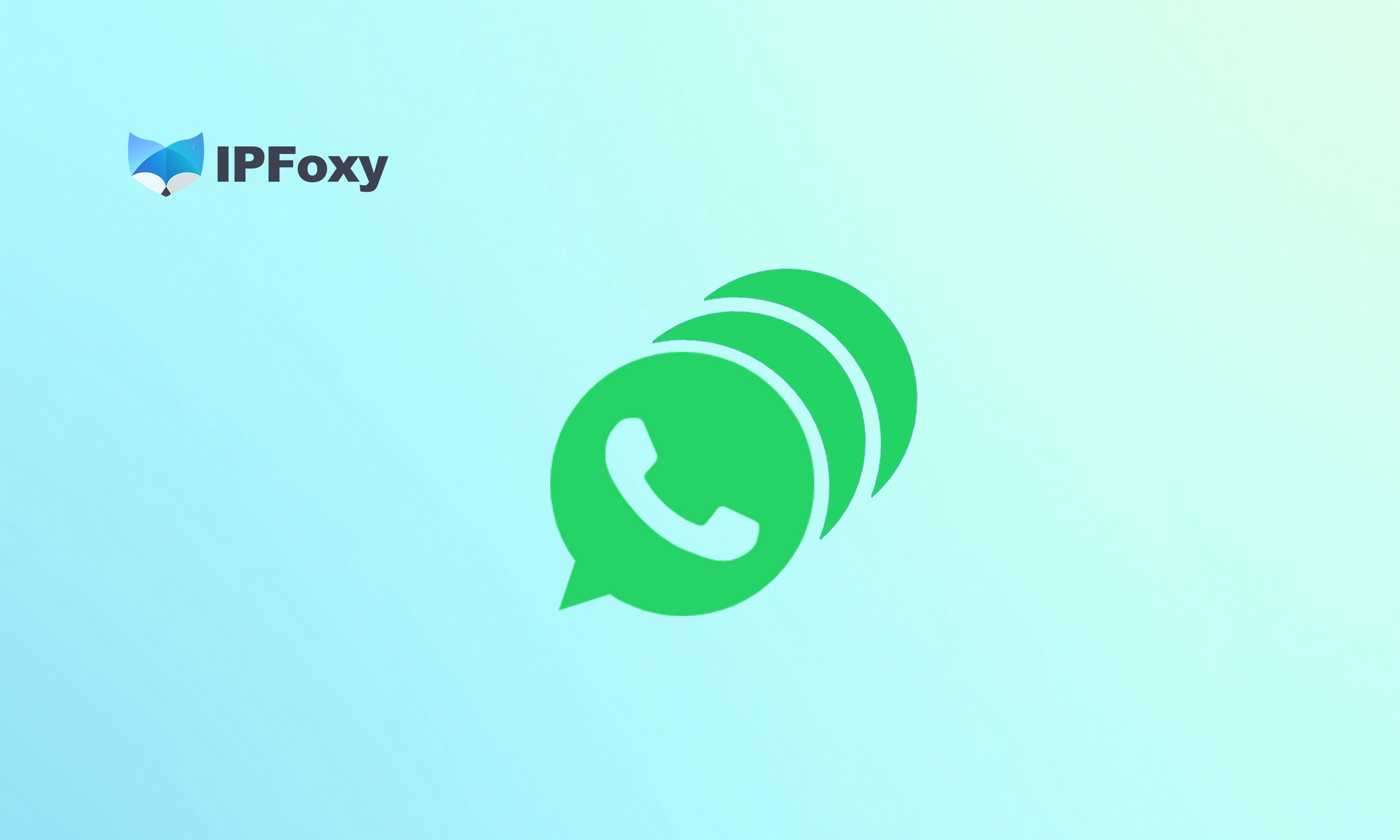 WhatsApp批量运营