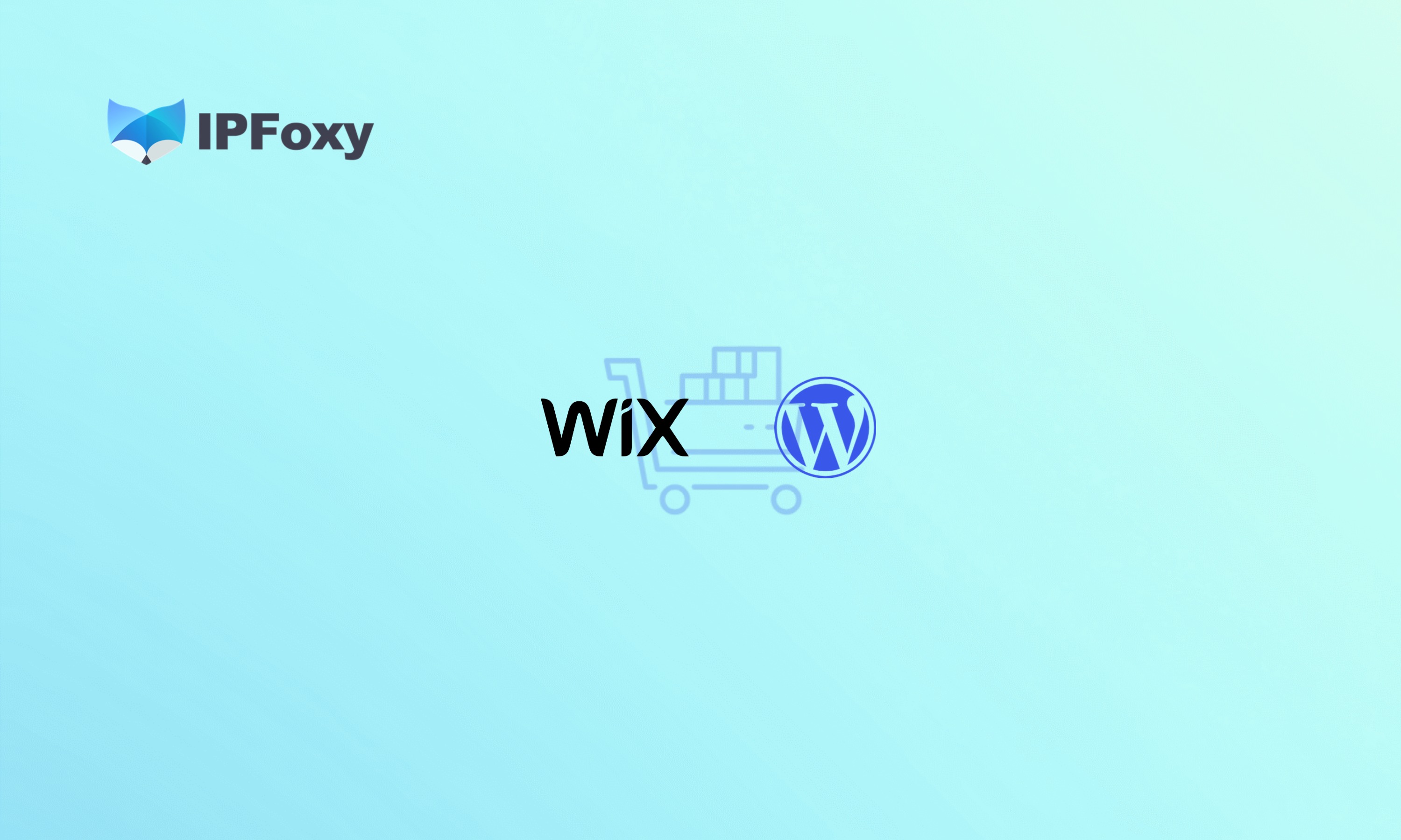 2025 Guide: Wix vs. WordPress—Which Is Best for Beginners?