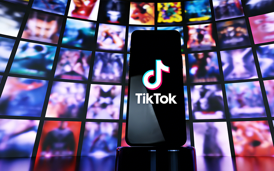 xmp tiktok minis bulk ads