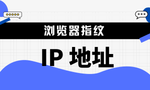 进入互联网的基础——IP地址