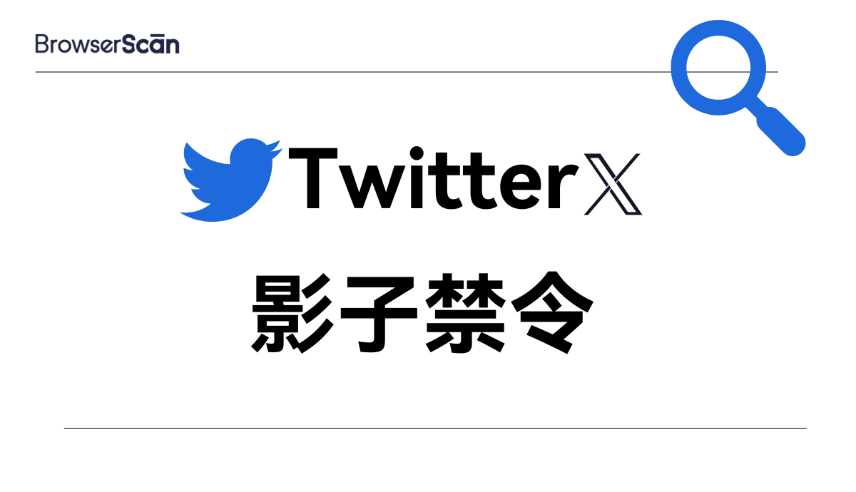 什么是影子禁令？