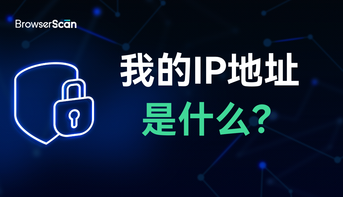 我的IP地址是什么？