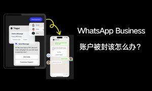 WhatsApp Business账户被封？常见封号原因解析